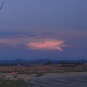 形容__利休（cover沈以诚）