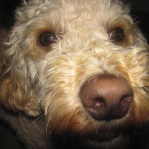 Starstruck And Flattered