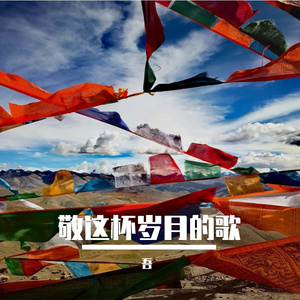 敬这杯岁月的歌