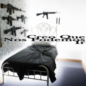 CREO QUE NOS PODEMOS IR