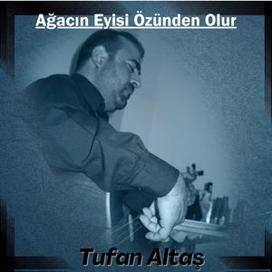 Ağacın Eyisi Özünden Olur