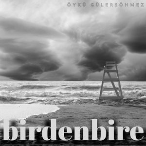 Birdenbire
