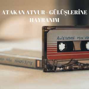 Gülüşleri̇ne Hayranim