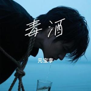 毒酒 (Cover 摩登兄弟刘宇宁)