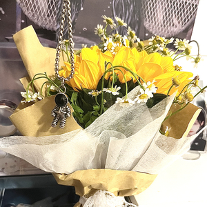 流浪stray（原唱：江辰）