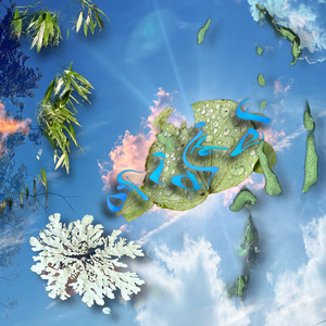 an adventure with my friend