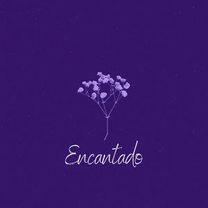 Encantado