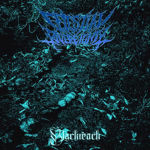 Void Ataxia II: The Horrors Of Harmony