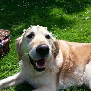 Bag of Grins (slowed)