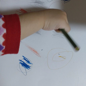 湿度がちょうどいい。お出かけしよう