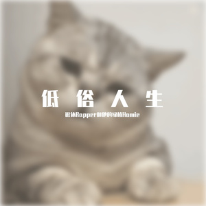 coco这个李文-智者不入爱河cover（藤吉屹柏 remix）