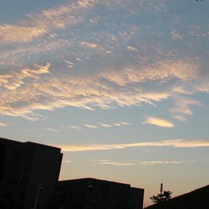 这一生关于你的风景