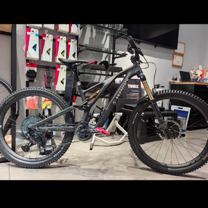 沿海小城的玫瑰月-MM专属