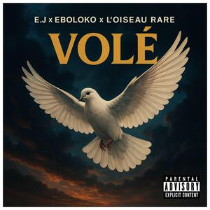 VOLÉ