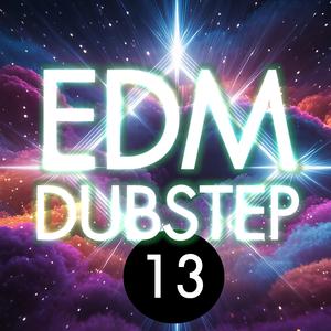 EDM DUBSTEP 13