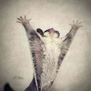 误恶世人藐视观Demo