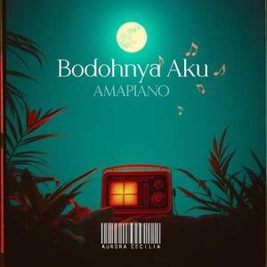 Bodohnya Aku Amapiano