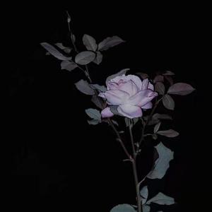 已售丨不乱于心。