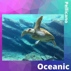 Oceanic (Elettronica)