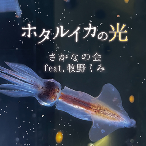 ホタルイカの光 (feat. 牧野 くみ)