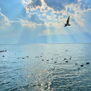 一直游到海水變藍