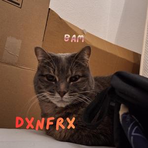 BAM (la piraterie) [...cannard...en...plastique...]