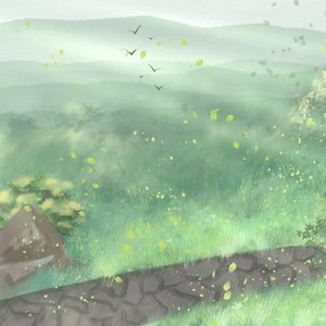 蜉蝣的夏日絮语