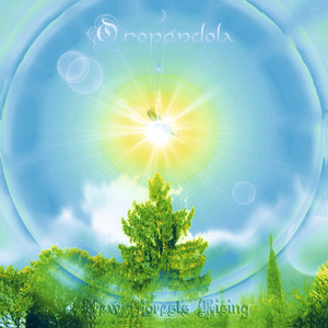 Silver Maples, Ancient Ginkgos & Happy People