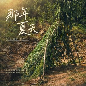 那年夏天