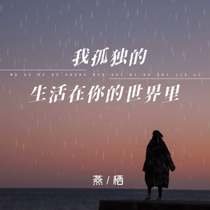 我孤独的生活在你的世界里 (DJ齐奕同版)