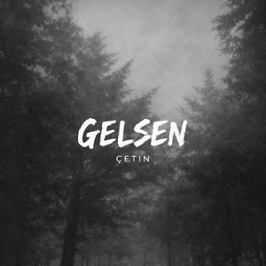 Gelsen