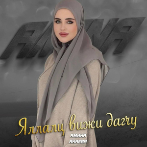 Яллалц вижи дагчу