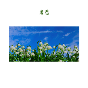 花开时 (大提琴)