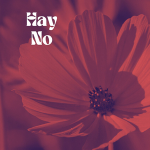 Hay No