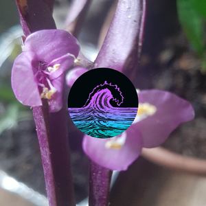 Sounds of Nature to Sleep