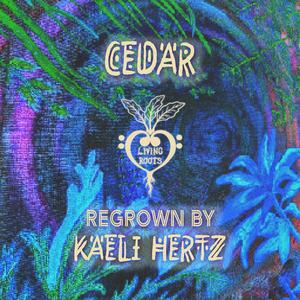 Cedar (feat. Kaeli Hertz) (Regrown by Kaeli Hertz)