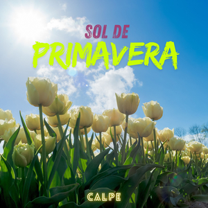 Sol De Primavera