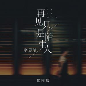 再见只是陌生人 (氛围混响版)