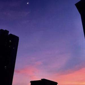 距星