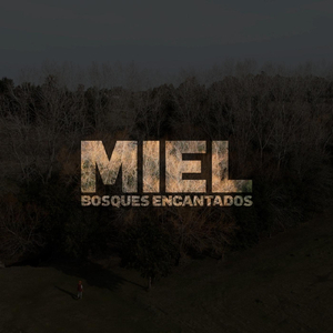 Miel