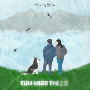 Tum Meri Thi 2.0