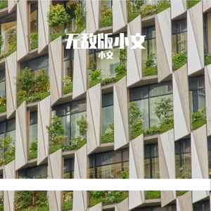 夏夜晚风里的浪漫邂逅