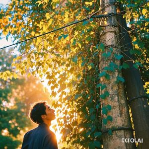 落日下的碎金恋人