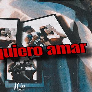 Yo te quiero amar