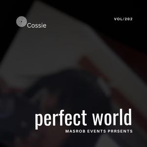 Perfect world