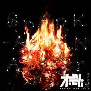 SPARK-AGAIN (Crystal Rock & Pule Remix) - SACRA BEATS Singles