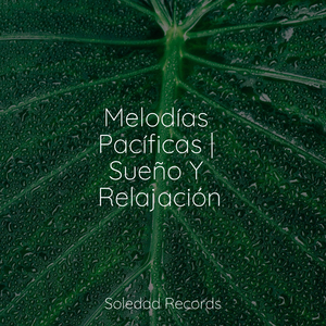 Melancólica De La Mañana