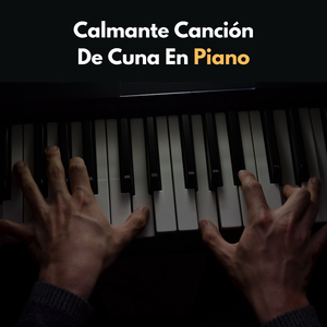 Música De Piano Semiclásica Para La Tranquilidad Del Cerebro