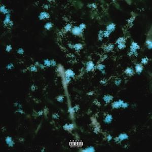 Vergissmeinnicht (feat. Miller)