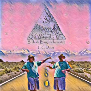 Soil Storie Code 205